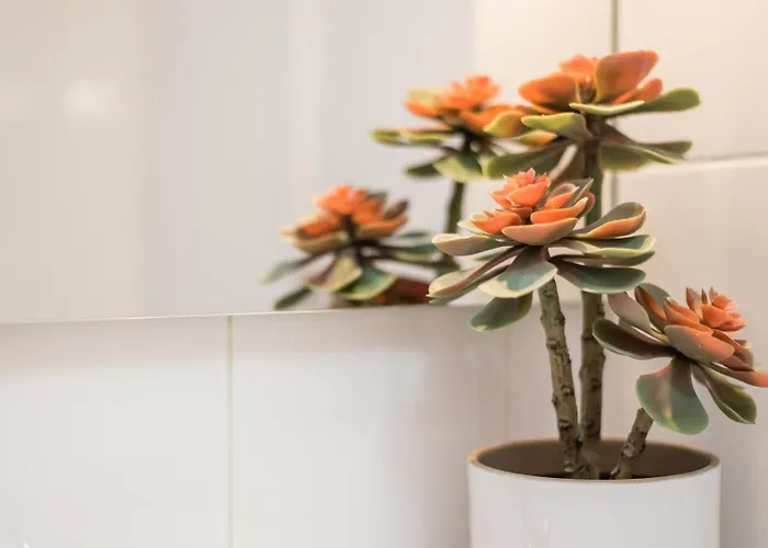 Guestready - Miragaia * Porto