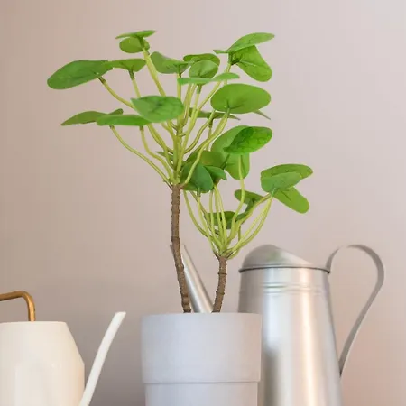 Apartment Guestready - Miragaia Porto