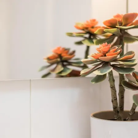 Guestready - Miragaia * ポルト