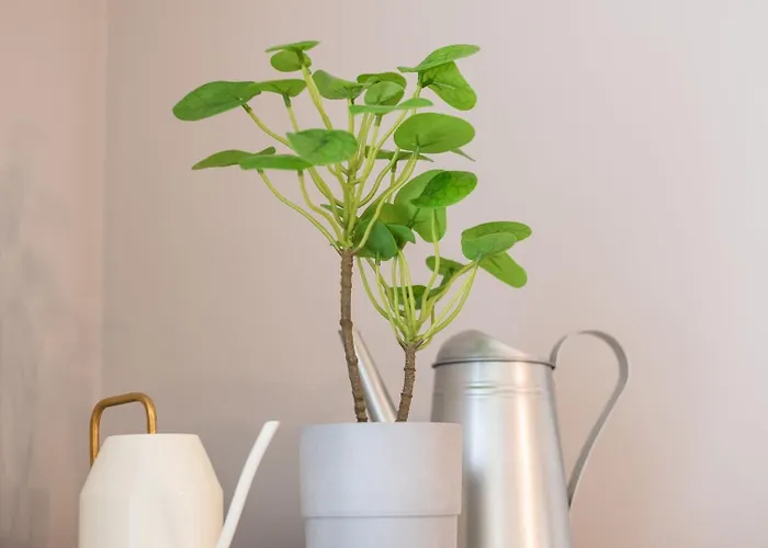 Апартаменты Guestready - Miragaia Порту